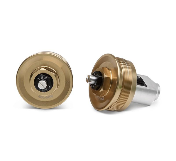 Gabelkappen-Set (Z900RS/SE)