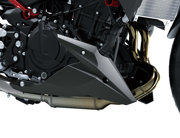 Untere Verkleidung, Bugspoiler (Z500)