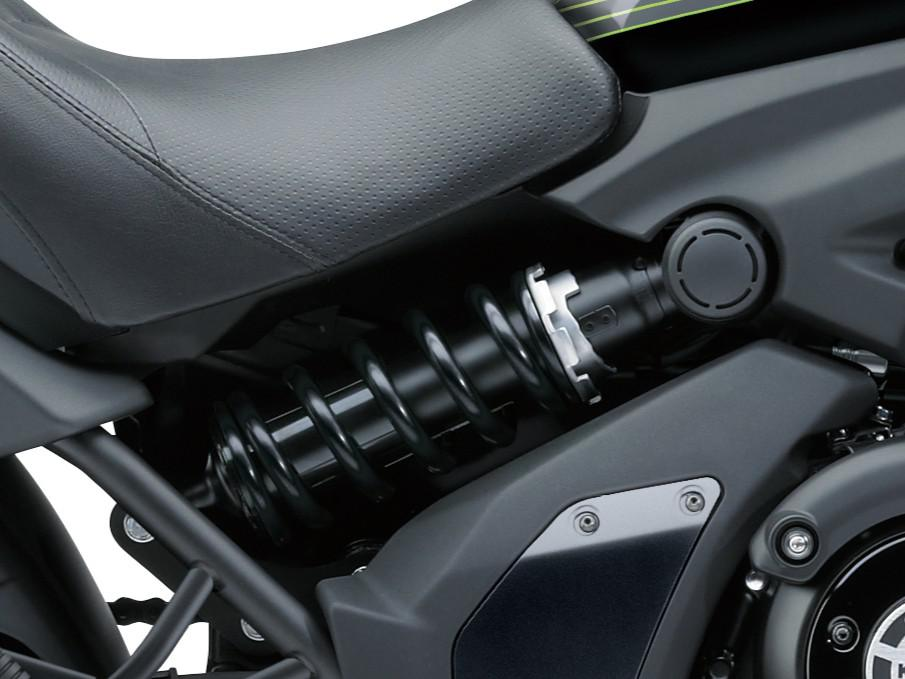 Seitlich angeordnetes hinteres Monofederbein