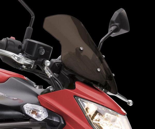 Großes getöntes Windschild (ER-6n)