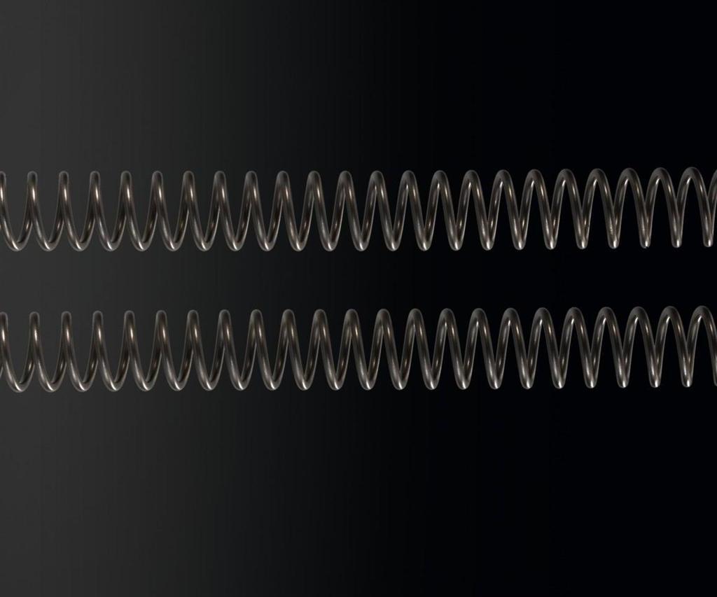 Optionale Gabelfedern, K=2,45 N/mm (KX65)